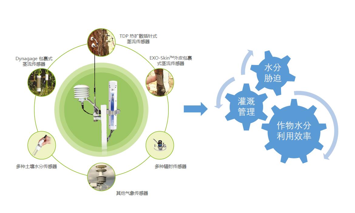 利用SapIP分布式植物生理生態(tài)監測系統能做哪些研究？